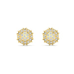 Load image into Gallery viewer, 0.25 Carat Impon Stud Daily Wear Earring